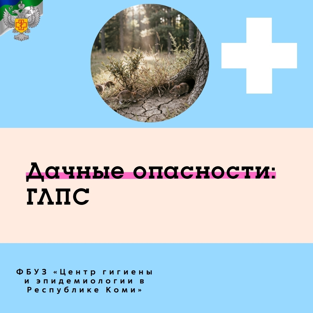 28.05 - Дачные опасности ГЛПС