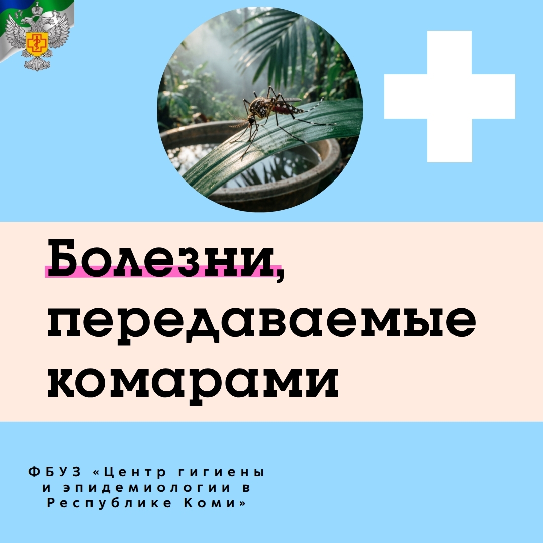 29.05 - Болезни, передаваемые комарами